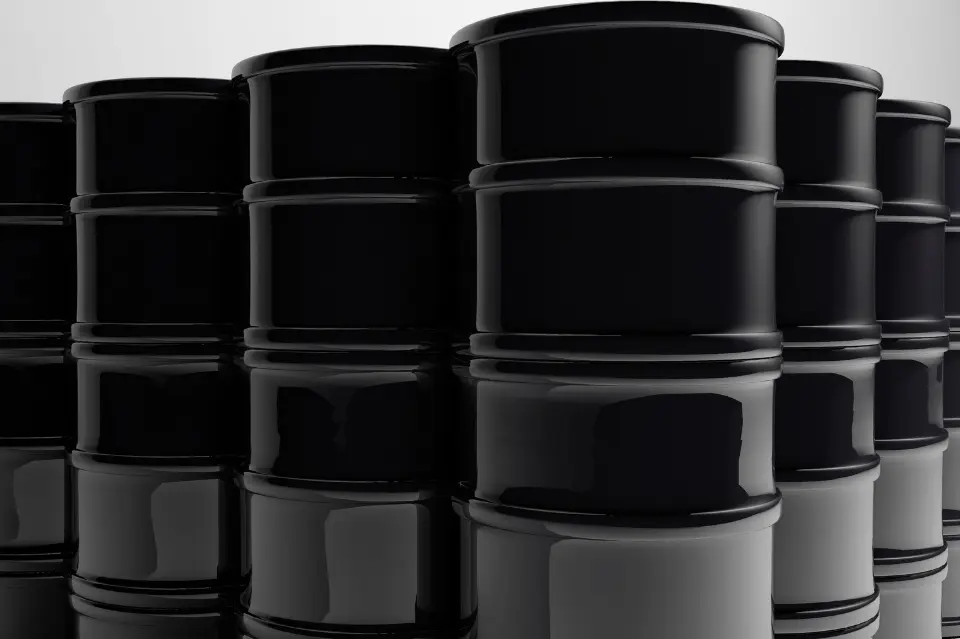 aceites luch industry